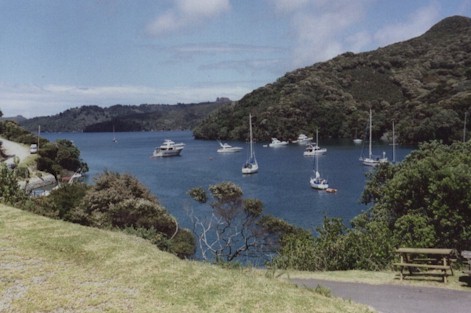 Port FitzRoy Harbour - photo by Kay Stowell